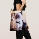Buscar siamés bolsos Lindo