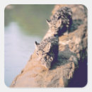 Buscar registro cuadradas pegatinas Naturaleza