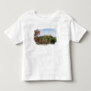 Buscar columnas camisetas Construido