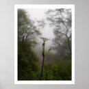 Buscar apalache fotografía Naturaleza