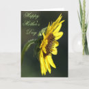 Buscar rudbeckia tarjetas Flor silvestre