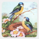 Buscar bluebirds postales Primavera