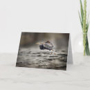 Buscar garza blanca tarjetas Para todos