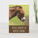 Buscar donkey tarjetas Mula