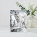 Buscar lobo blanco postales Floral