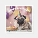 Buscar pug servilletas Cumpleaños