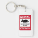 Buscar dinosaurio rectangulares llaveros Triceratops