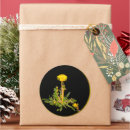 Buscar diente de león pegatinas Dandelia