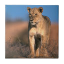 Buscar longitud azulejos Imagen de color