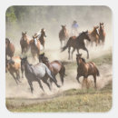 Buscar montana pegatinas Vaquero