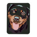 Buscar rottweiler imanes Adorable