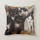 Buscar imagen del gato cojines Gatito