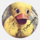 Buscar ducky pegatinas Pato amarillo