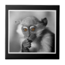 Buscar monkey azulejos 7 º raspa