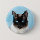 Buscar siamés redondos pins Gatito