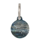 Buscar delfín collares Océano