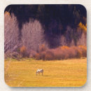 Buscar caballo posavasos Animal