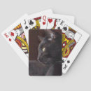 Buscar charlie barajas de cartas Adorable