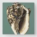 Buscar seashell arte Coastal