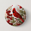 Buscar cardenales chapas Vida silvestre