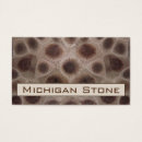 Buscar petoskey Petoskey stone