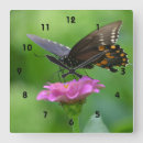 Buscar zinnia relojes de pared Rosa