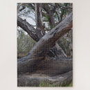 Buscar troncos puzzles Árbol