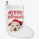 Buscar calcetines navideños Perro