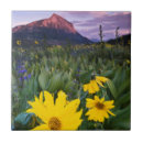 Buscar cresta azulejos Montaña