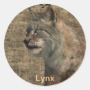 Buscar lynx pegatinas Salvaje