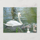 Buscar beb postales General y unisex