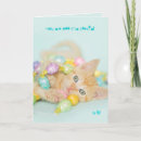 Buscar eggstra tarjetas Especial