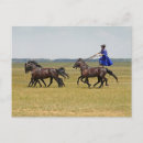 Buscar caballo y jinete postales Vaquero