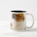 Buscar cabeza del gato tazas Vertical