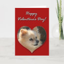Buscar poms tarjetas Pomeranians