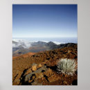 Buscar pele posters Volcán