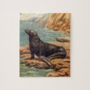 Buscar leones marinos puzzles Océano