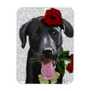 Buscar rosas rojas imanes Flores