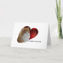 Buscar pelo del gato tarjetas Para todos
