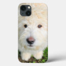 Buscar mezcla ipad fundas Cachorro