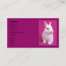 Buscar conejo lindo tarjetas de visita Animales