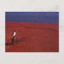 Buscar boro postales Otoño