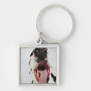 Buscar great dane llaveros Tiro del estudio