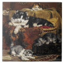 Buscar gato blanco y negro azulejos Perro