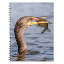 Buscar con cresta libretas Naturaleza