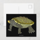 Buscar dorso postales Animal
