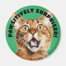 Buscar sorprendido imanes 9 º gata