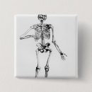Buscar anatomía accesorios Hueso