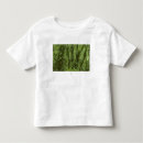 Buscar arenal camisetas Exuberante
