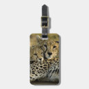 Buscar jubatus accesorios Carnívoro
